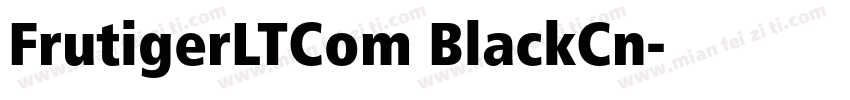 FrutigerLTCom BlackCn字体转换